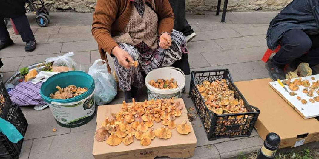 Tezgaha indi, kapış kapış gitti! Kilosu 500 TL: Bu yıl bolluk fışkırıyor 5